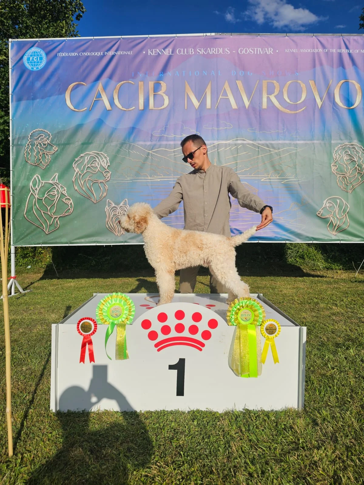 Igor del Casale Brioso - Male Lagotto Romagnolo